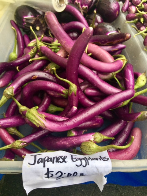 Japanese Eggplant Marketlife